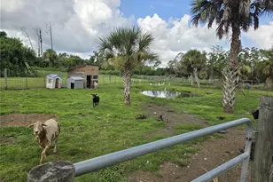 6649 Pimlico St, North Port, FL 34291 - Photo 45