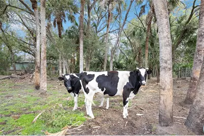 6649 Pimlico Street, North Port, FL 34291 - Photo 53