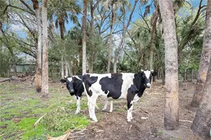 6649 Pimlico St, North Port, FL 34291 - Photo 53