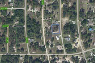 620 Lake Betty Dr, Lake Placid, FL 33852 - Photo 7