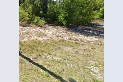 620 Lake Betty Drive, Lake Placid, FL 33852 - Photo 3