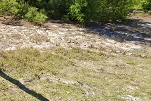 620 Lake Betty Dr, Lake Placid, FL 33852 - Photo 3