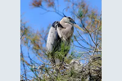 4405 Mount Vernon Drive, Bradenton, FL 34210 - Photo 67