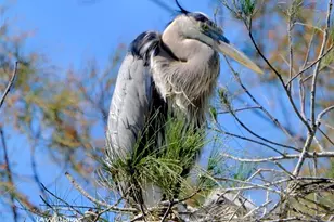 4405 Mt Vernon Dr, Bradenton, FL 34210 - Photo 67