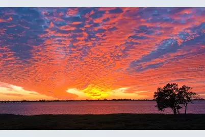 332 Harbour Sound Court, Bradenton, FL 34209 - Photo 5