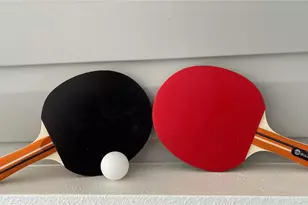 2504 S Milmar Dr, Sarasota, FL 34237 - Photo 29