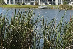 3176 Lake Bayshore Dr, Bradenton, FL 34205 - Photo 35