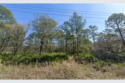 10620 Yeager Avenue, Hastings, FL 32145 - Photo 1