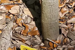 2303 45th St E, Bradenton, FL 34208 - Photo 61