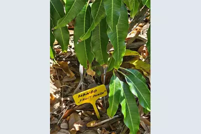 2303 45th Street E, Bradenton, FL 34208 - Photo 11