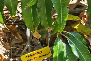 2303 45th St E, Bradenton, FL 34208 - Photo 11