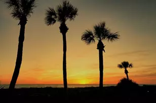 1925 Gulf of Mexico Dr, Longboat Key, FL 34228 - Photo 43