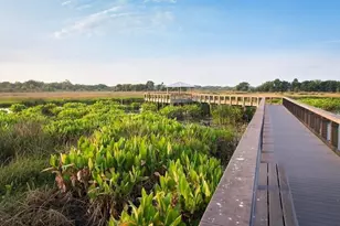 8425 Nandina Dr, Sarasota, FL 34240 - Photo 53