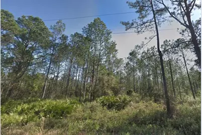 10620 Beckenger Avenue, Hastings, FL 32145 - Photo 5