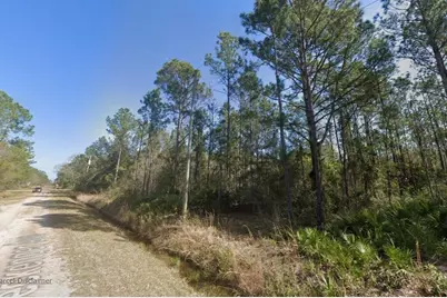 10620 Beckenger Avenue, Hastings, FL 32145 - Photo 3