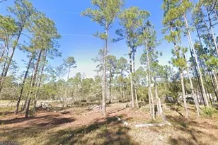 4335 Theresa St, Hastings, FL 32145 - Photo 1