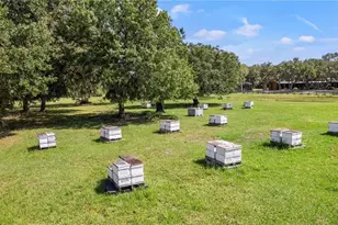 7000 US-19, Terra Ceia, FL 34250 - Photo 13