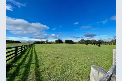 7000 Us-19, Terra Ceia, FL 34250 - Photo 11