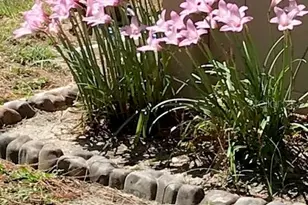 2631 Fiesta Dr, Venice, FL 34293 - Photo 57