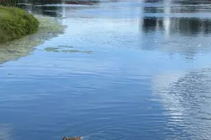 1732 Kestral Park Way S, Sarasota, FL 34231 - Photo 31