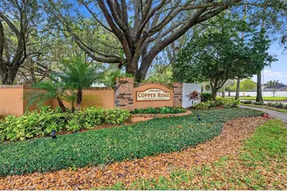 919 Grand Canyon Drive, Valrico, FL 33594 - Photo 33