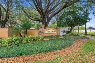 919 Grand Canyon Dr, Valrico, FL 33594 - Photo 33