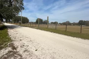 0 Hart Rd, Wauchula, FL 33873 - Photo 5