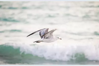 101 Whispering Sands Drive #105, Sarasota, FL 34242 - Photo 67