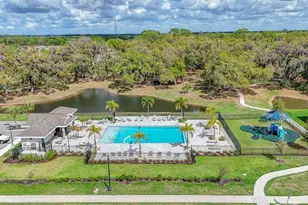 11415 61st St E, Parrish, FL 34219 - Photo 53
