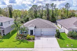 11415 61st St E, Parrish, FL 34219 - Photo 1