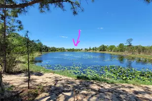 433 Gloria Blvd, Lake Placid, FL 33852 - Photo 3