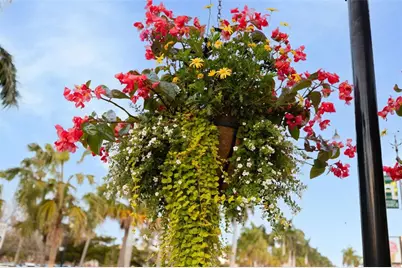 1016 Scherer Way, Osprey, FL 34229 - Photo 73