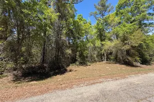 8512 N Escobar Rd, Dunnellon, FL 34434 - Photo 1