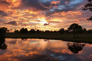 5179 55th St Cir W, Bradenton, FL 34210 - Photo 79