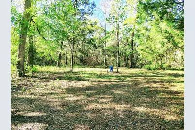 3440 Cr 656, Webster, FL 33597 - Photo 13