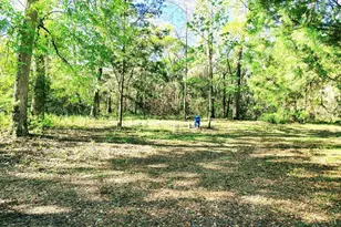 3440 Cr 656, Webster, FL 33597 - Photo 13