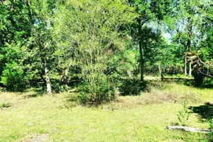 3440 Cr 656, Webster, FL 33597 - Photo 5