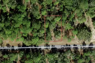 705 W Hummingbird Dr, Citrus Springs, FL 34434 - Photo 1