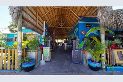 1730 Wisconsin Lane, Sarasota, FL 34239 - Photo 61