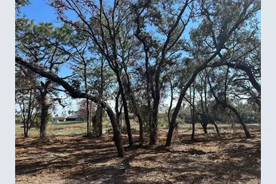 8362 Eric Street, Spring Hill, FL 34608 - Photo 5