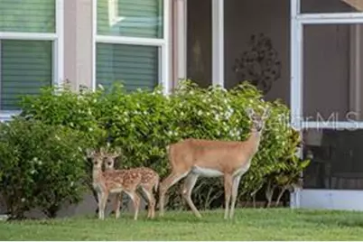 5126 Blue Ash Avenue, Sarasota, FL 34241 - Photo 31