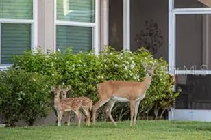 5126 Blue Ash Ave, Sarasota, FL 34241 - Photo 31