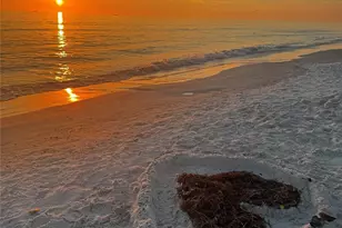 348 Sapphire Lake Dr, Bradenton, FL 34209 - Photo 97