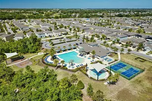 17009 Peaceful Valley Dr, Wimauma, FL 33598 - Photo 59