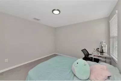 17009 Peaceful Valley Drive, Wimauma, FL 33598 - Photo 17