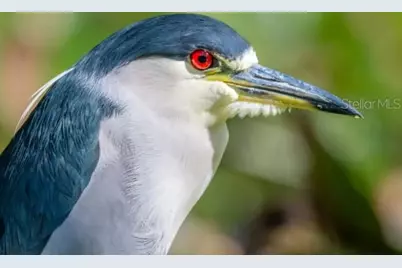 4456 Streamside Court #1605, Sarasota, FL 34238 - Photo 41