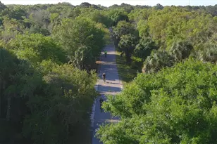 135 Woodland Pl, Osprey, FL 34229 - Photo 55