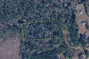 521 San Carswell Rd, Quincy, FL 32352 - Photo 1