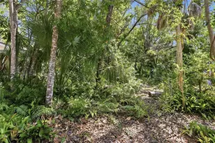 1264 18th St, Sarasota, FL 34234 - Photo 37