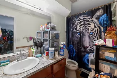 829 Shirley Ann Trail, Lakeland, FL 33809 - Photo 21